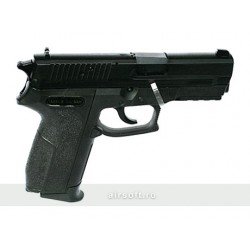 SIG SAUER SP2022 SPRING