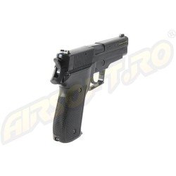 SIG SAUER P226 SPRING