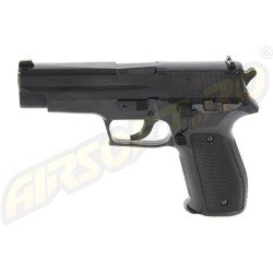 SIG SAUER P226 SPRING