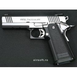 HI-CAPA - DUAL STAINLESS