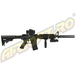 DLV DS4 CARBINE - SET COMPLETO