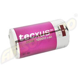 BATTERIA RICARICABILE TECXUS D (R20) 10.000 MAH