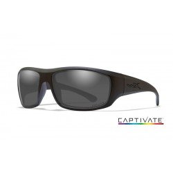 WILEY X BALLISTIC GLASSES MODEL OMEGA CAPTIVATE SMOKE GREY LENSES MATTE BLACK FRAME